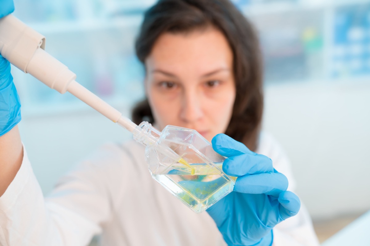 The technician checks the quality of the drink water in the laboratory