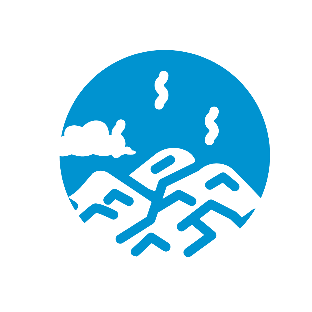 P2 Website Icons (1)