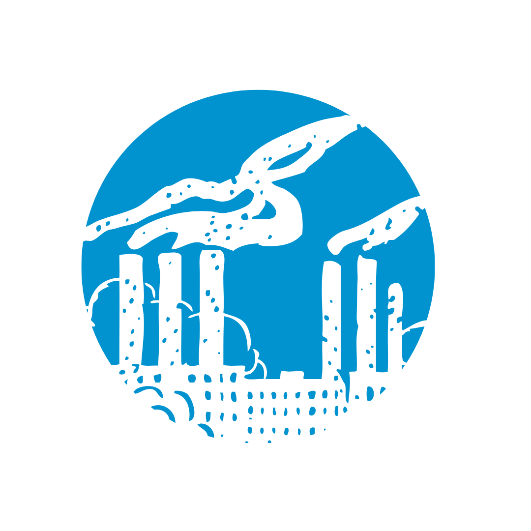 P2 Website Icons (2)